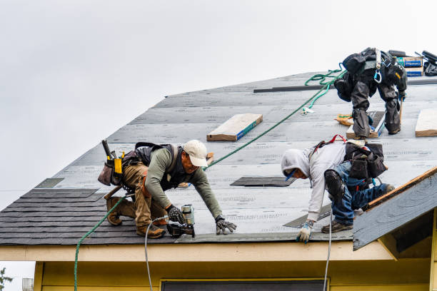 Professional Storm Damage Roof Repair technician working in Shirley, NY